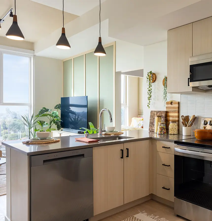 Kitchen sink and counters