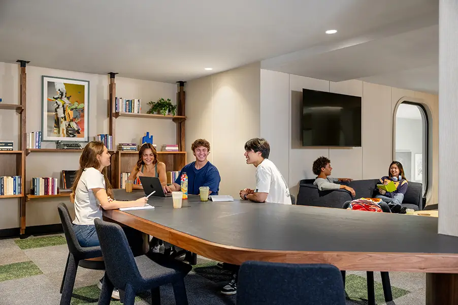 Friends studying together